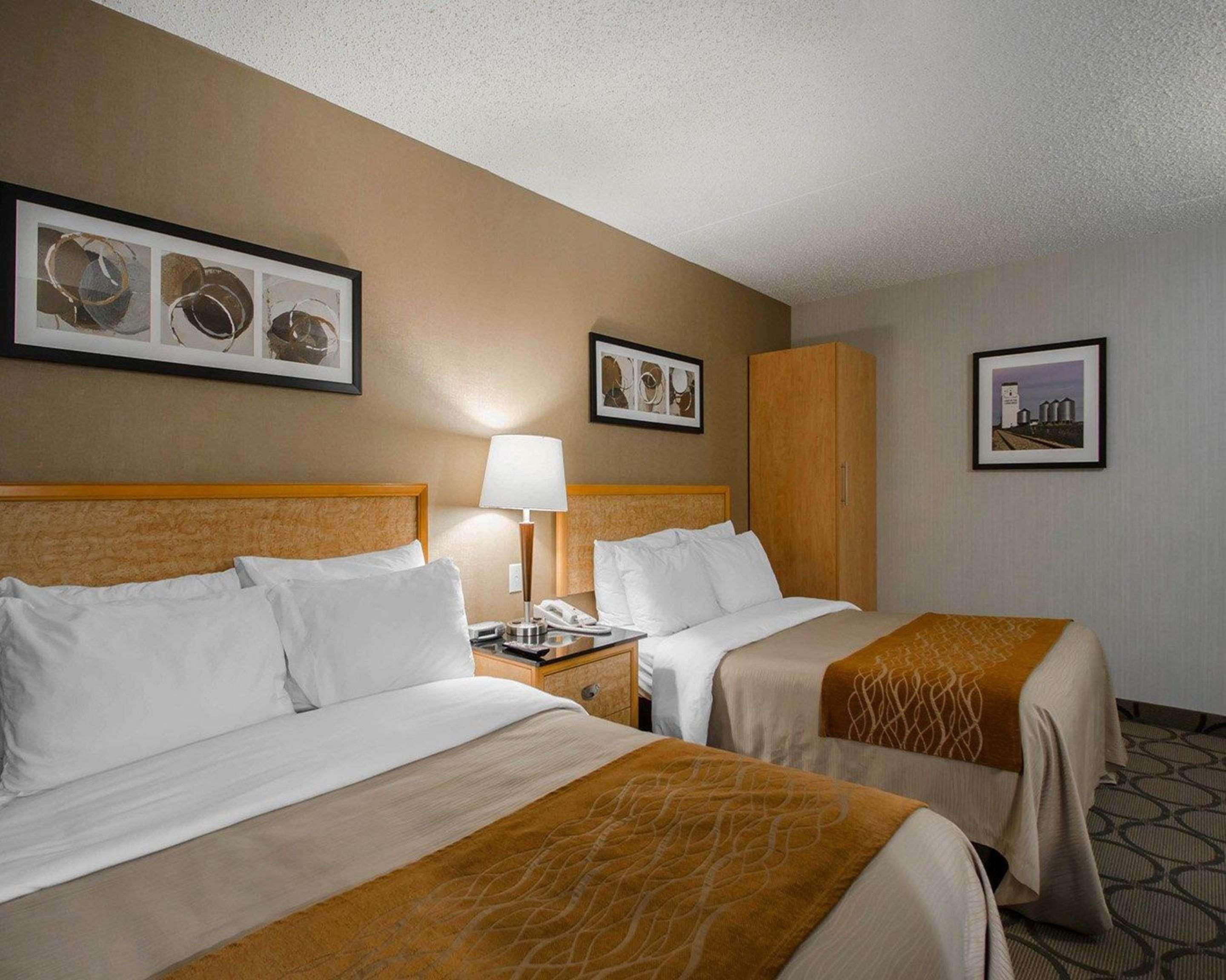 Comfort Inn Prince Albert Exterior foto